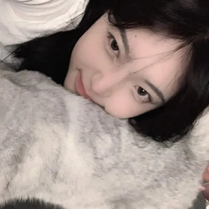 黑岩射手:黎明降临